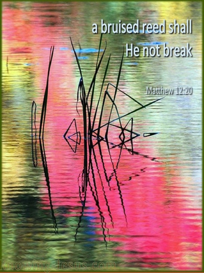 Matthew 12:20 A Bruised Reed He Will Not Break (pink)